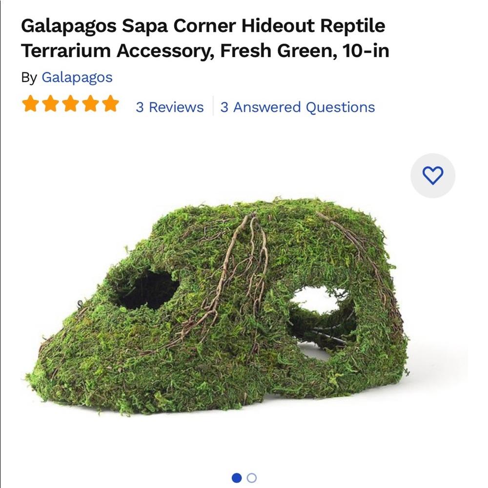Galapagos Sapa Corner Hideout Reptile Moss